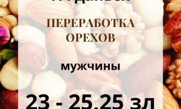 Переработка орехов 23 - 25,25 зл