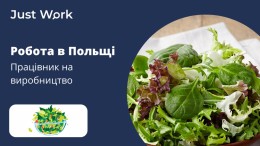 Працівник на виробництво мікс - салатів у Niepruszewo