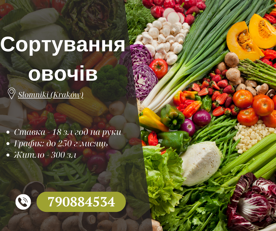 Сортування овочів