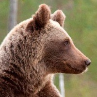 Frol Bezdomnyj (frol-bezdomnyj)