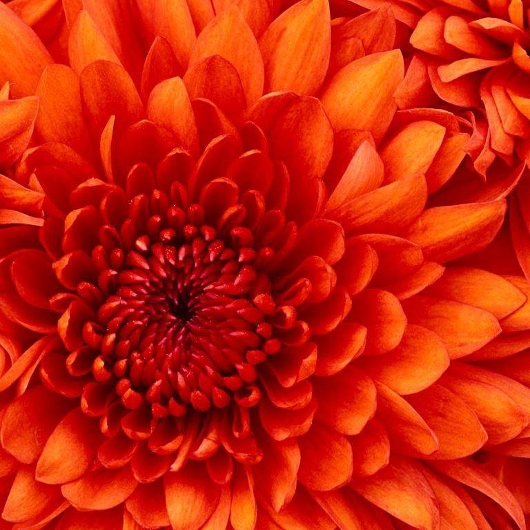 Helen Helen (HelenHelen)