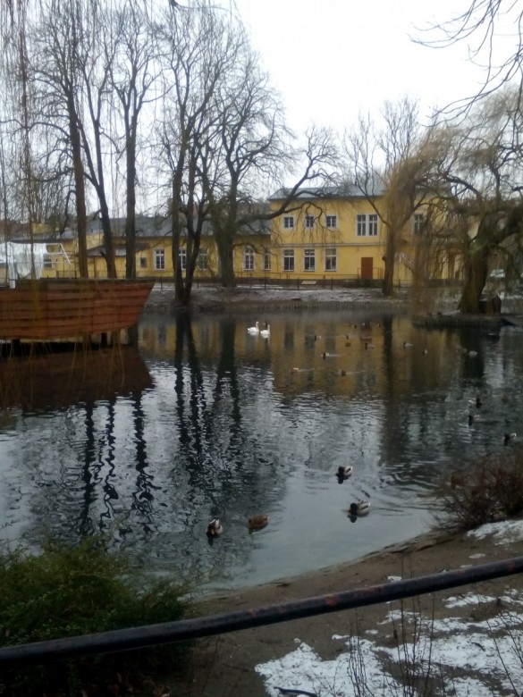 КозинаЮлия  (КозинаЮлия), Болеславец
