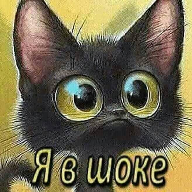 БойченкоНико (Бойченко Николай)