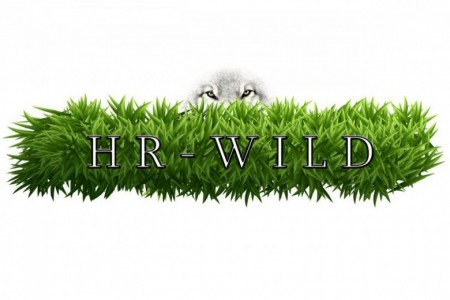 HR Wild HR Wild (HR Wild), Wrocław, Charkiw