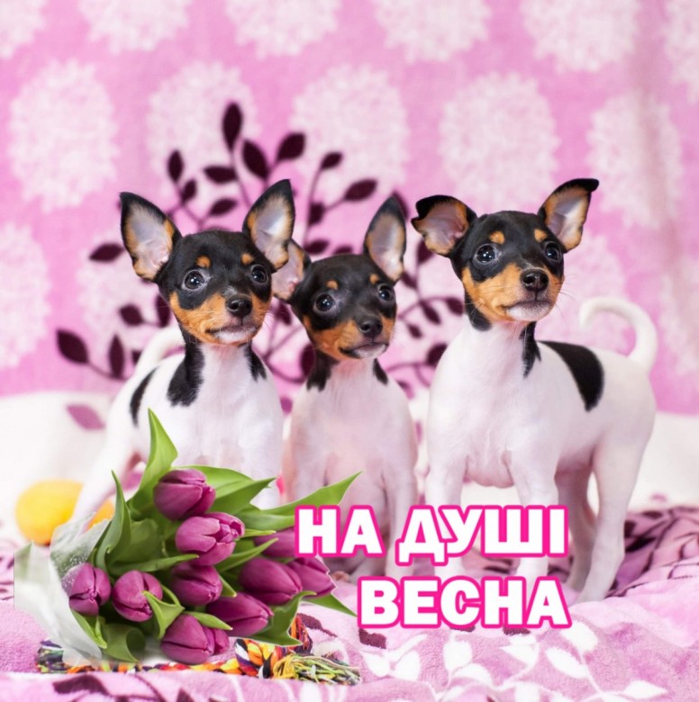Оксана Васильева (ОксанаВасиль)