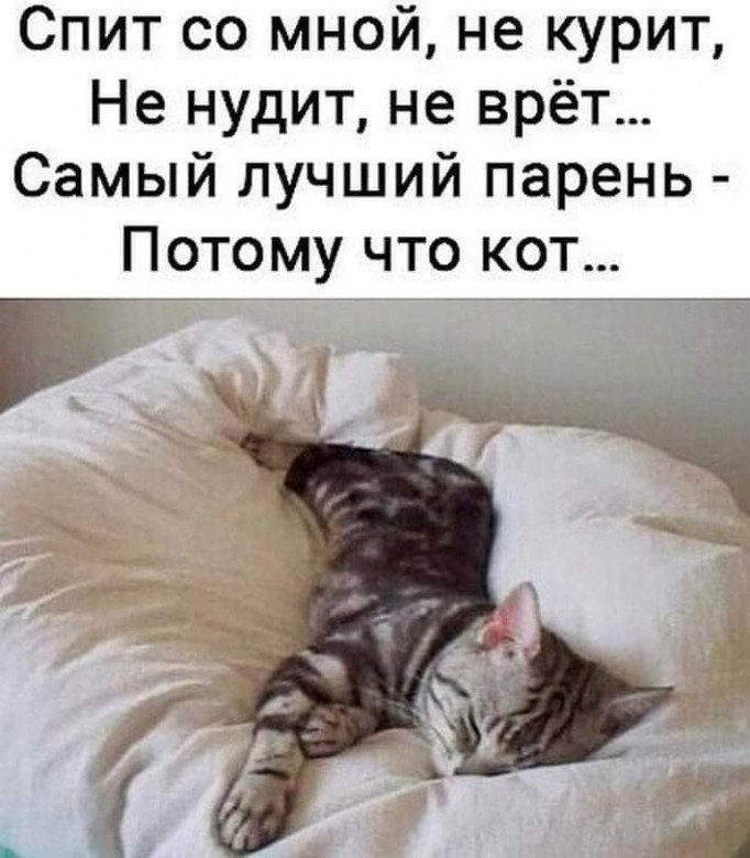 matamanuk51@gmail.com  (matamanuk51@gmail.com), Katowice