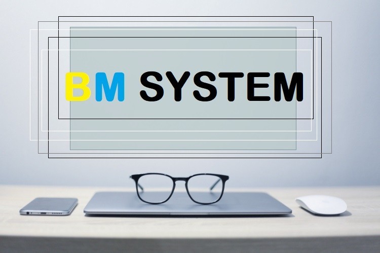 BM SYSTEM Agencja (BM SYSTEM), Poznań, Вінниця