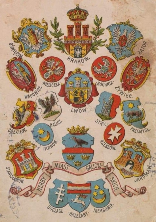 Piotr999  (Piotr999), Mogielnica