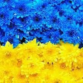 Олена Хомік (ОленаХомік)