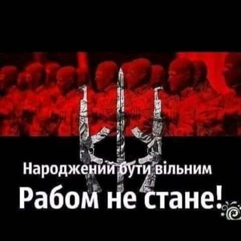 Сергей Франчук (СергейФранчу)