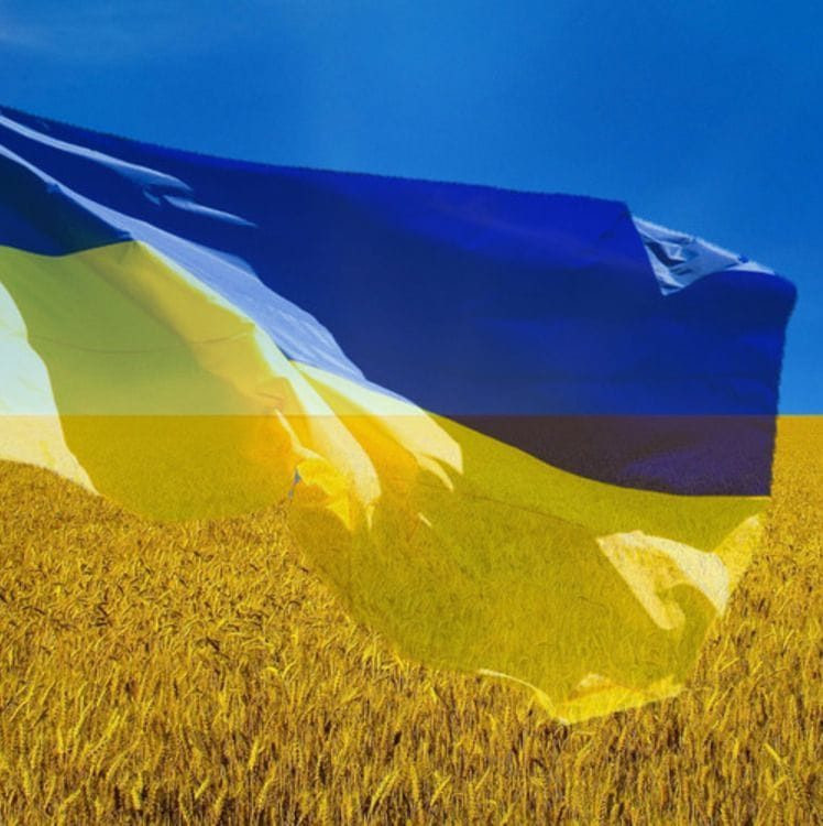 Олександр Бондар (ОлександрБон)