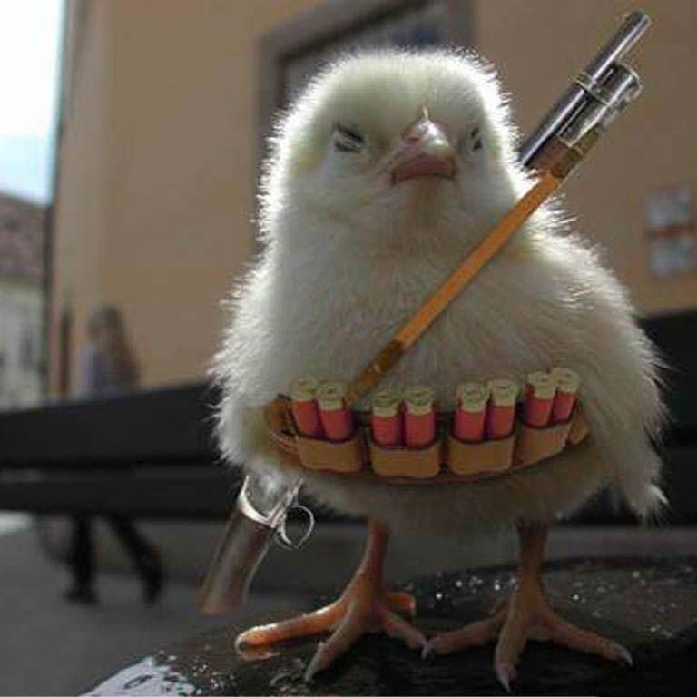 Ив Кор