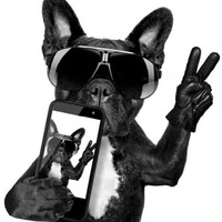 Артем Николаев