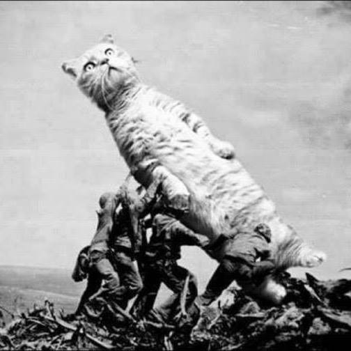 Андрей Костусев
