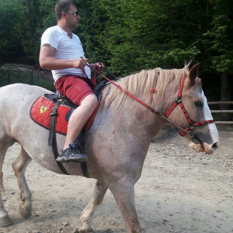 Александр Александр