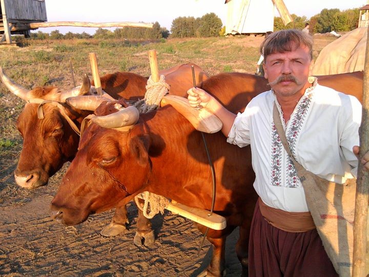 стас джим