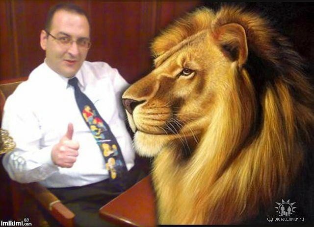 Api Tigr Rob