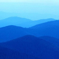 Наташа Дашковская