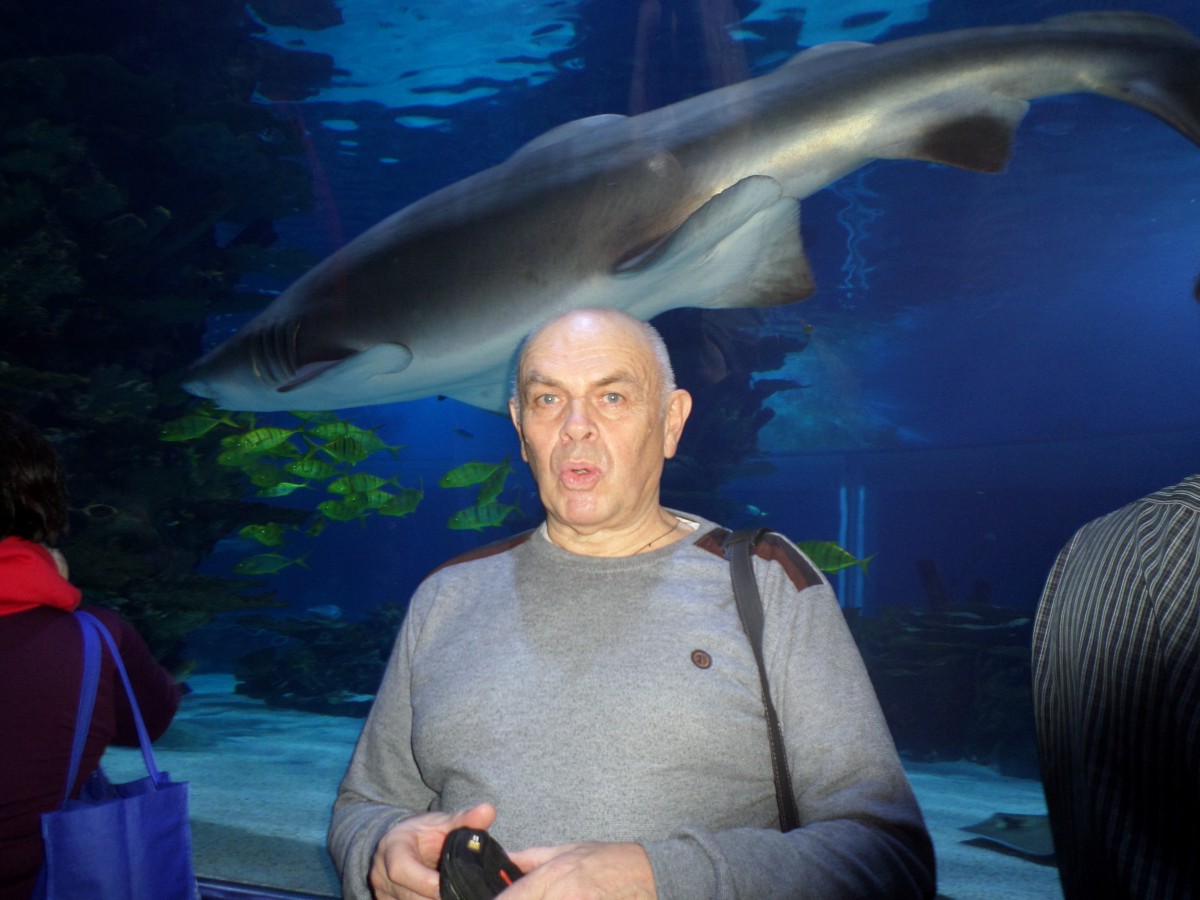 MrPetr Lavrys