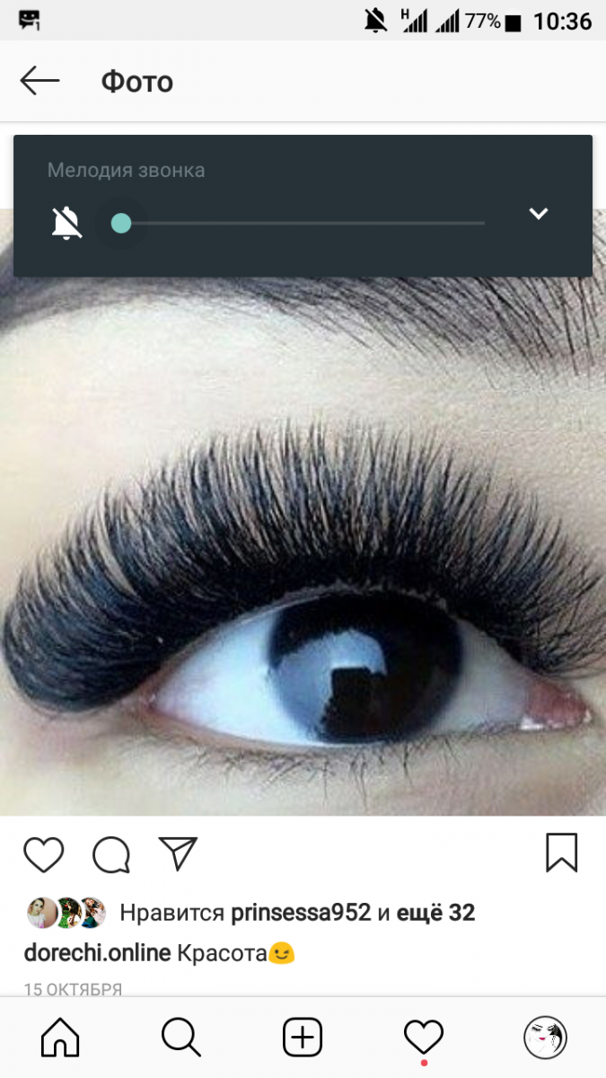 Daria.lashmaker 