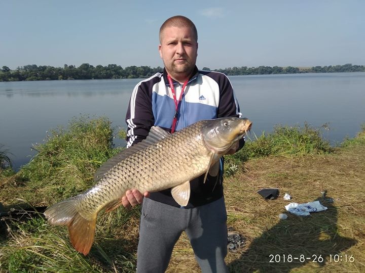 Volodimir  Korsa