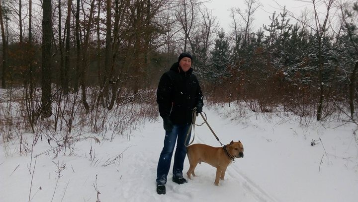 Валерій Терещенко