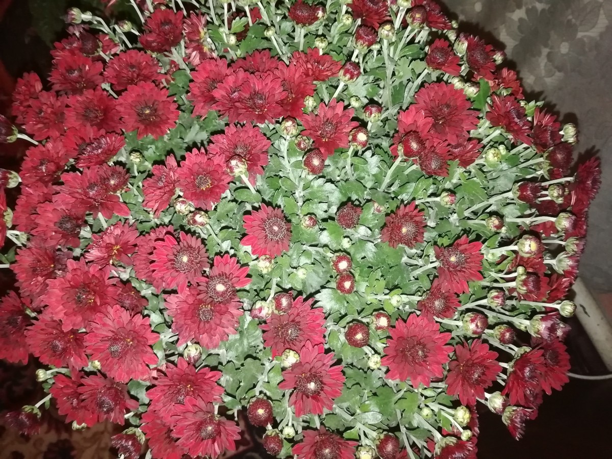 Алина1992 