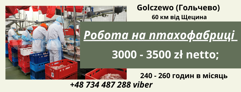 Rabota PL