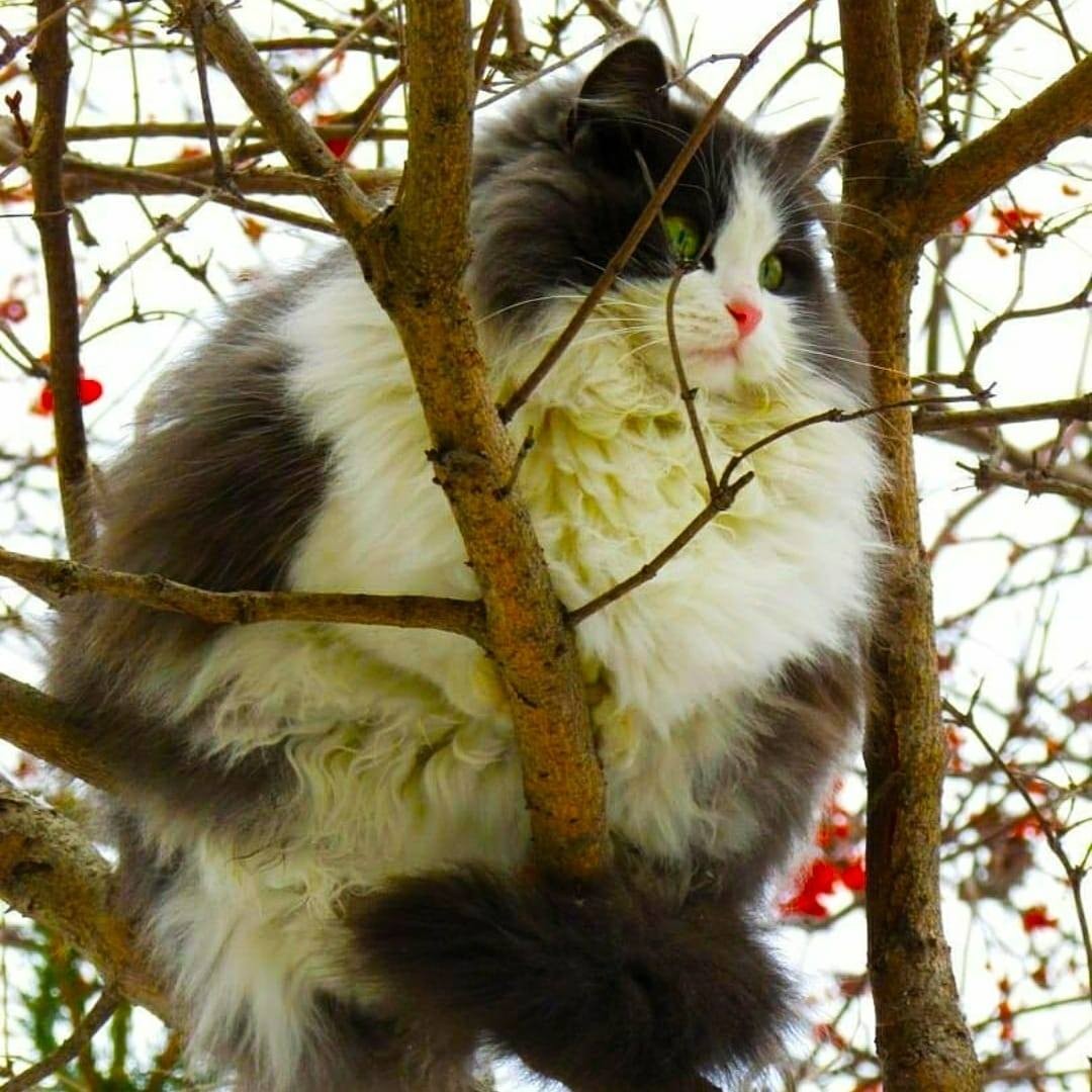 Liljok Касянчук