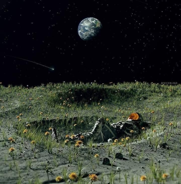 Тарас Пущик