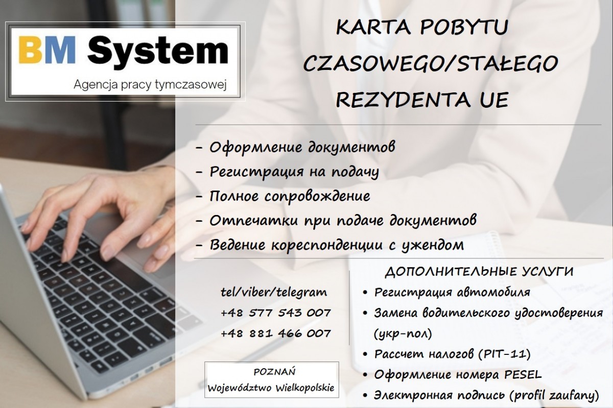 BM SYSTEM Agencja