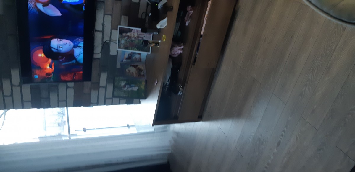 Забар Закрицький