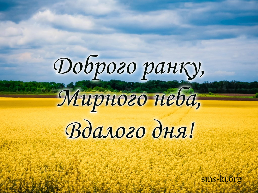 Alionka335 
