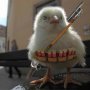 Ив Кор