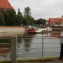 Світлана Маньківська