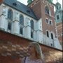 Olya Rymarchuk