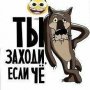 Dmitriy P