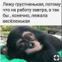 Зима 