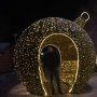 Артём Артёменко