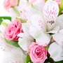 Malwina Malwina