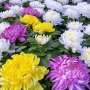 Михаил Суслов Михаил Васильевичь.