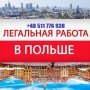 Yaryna Polska Est