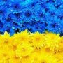 Олена Хомік
