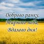 Alionka335 