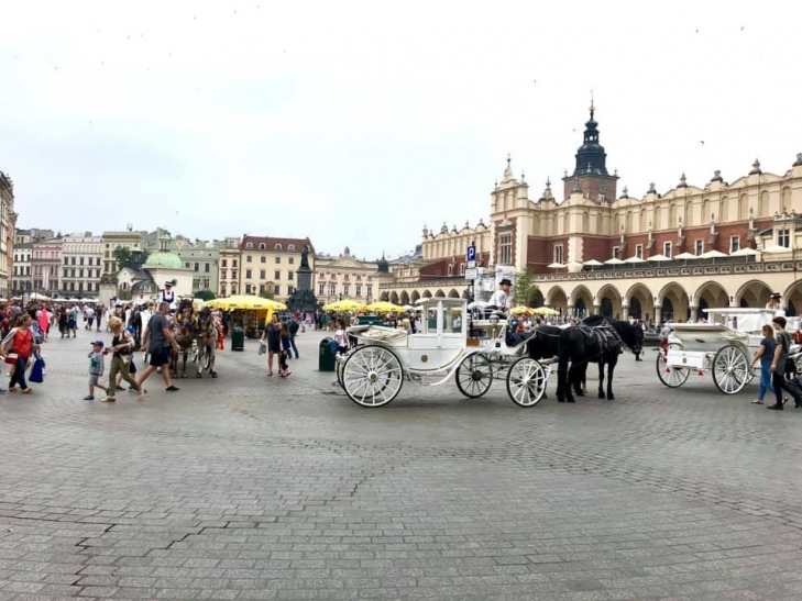 Зустріч «Наших в Кракові»