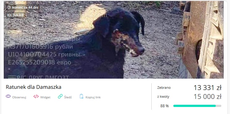 screenshot/zrzutka.pl