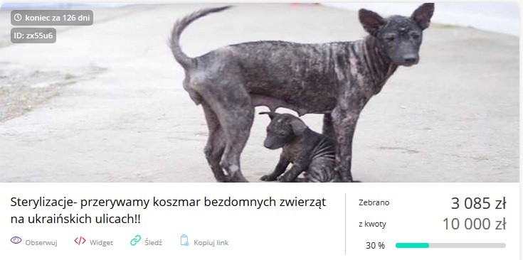 screenshot/zrzutka.pl