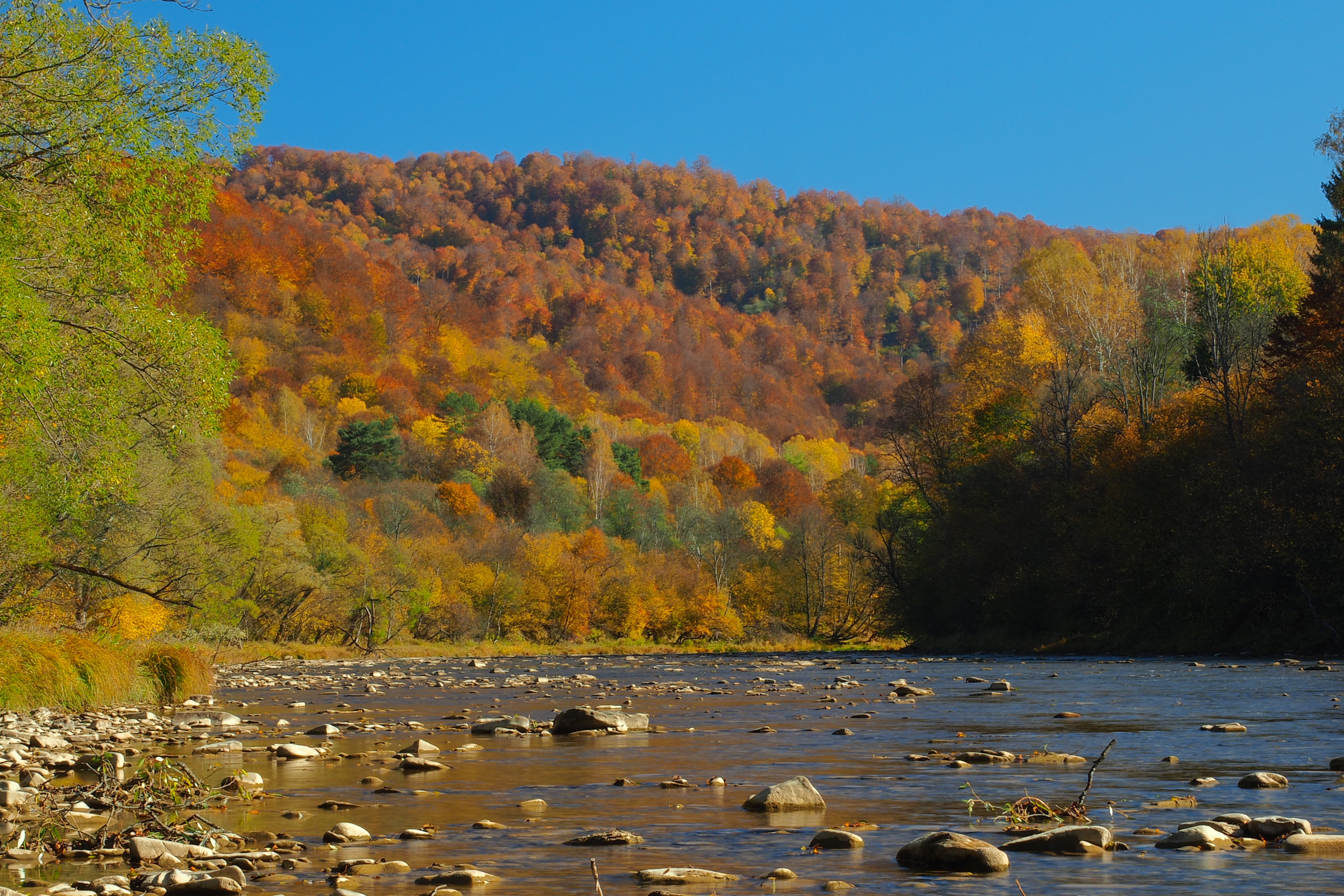 Autumn in the San Valley. Otryt. Bieszczady Mountains