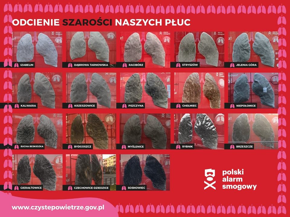 Так виглядають 