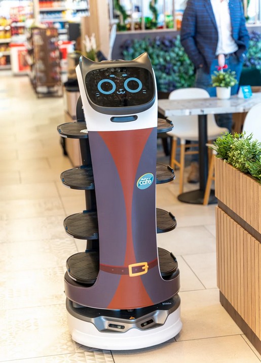 Робот BellaBot